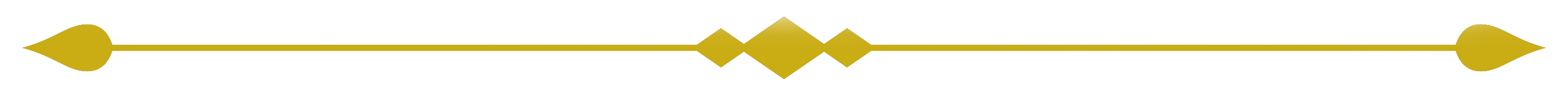 Gold Accent Line